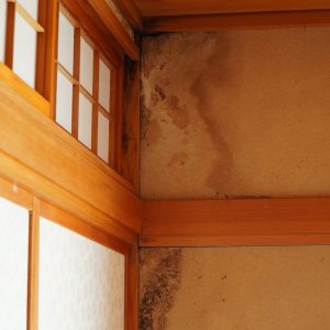 雨漏りについて　第2弾！